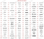 Collar Personalizado con Foto y Nombre Grabado - Acero Inoxidable Premium